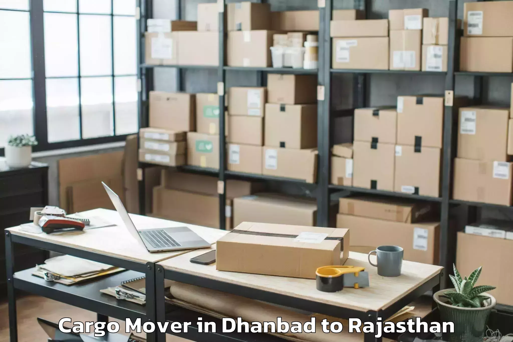 Leading Dhanbad to Bari Sadri Cargo Mover Provider